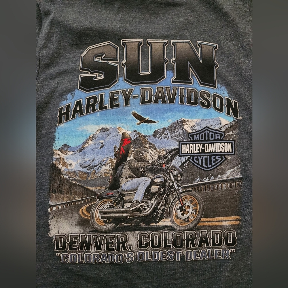 Harley-Davidson Dark Gray Denver Graphic Tee